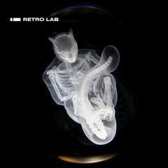 Iretrolab Crystal Skeleton Orb Lamp, Desk Night Light Gift & Collectible